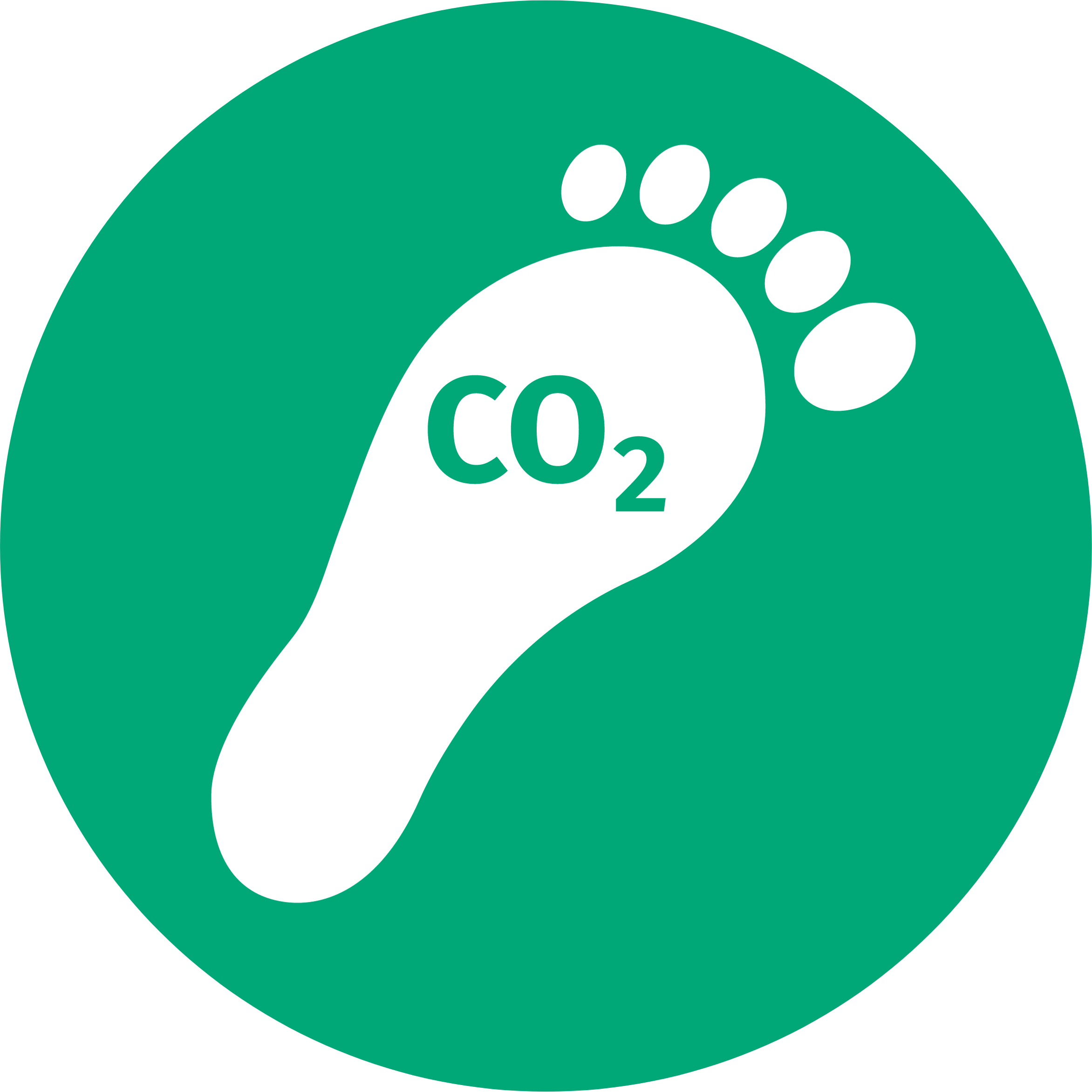 co2 footprint icon